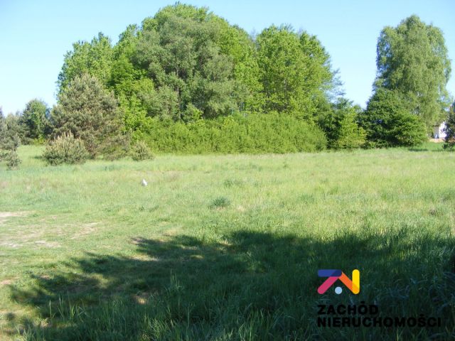 Działka budowlana Droszków. Zdjęcie 1