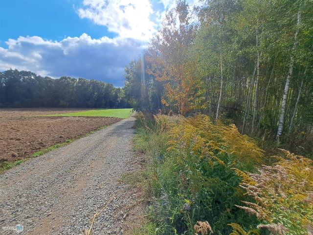 Działka siedliskowa Łagów. Zdjęcie 2