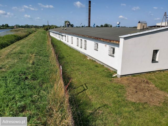 Hala/magazyn Sztutowo. Zdjęcie 1