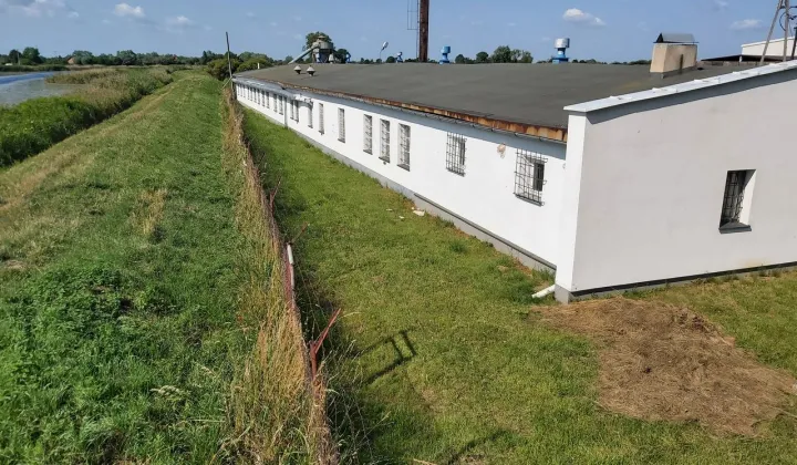 Hala/magazyn Sztutowo