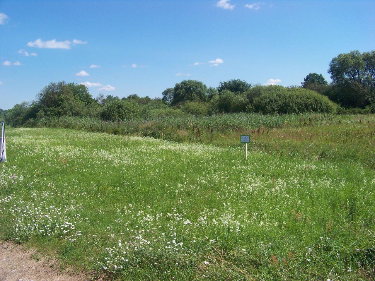 Działka rolna Brzuza. Zdjęcie 2