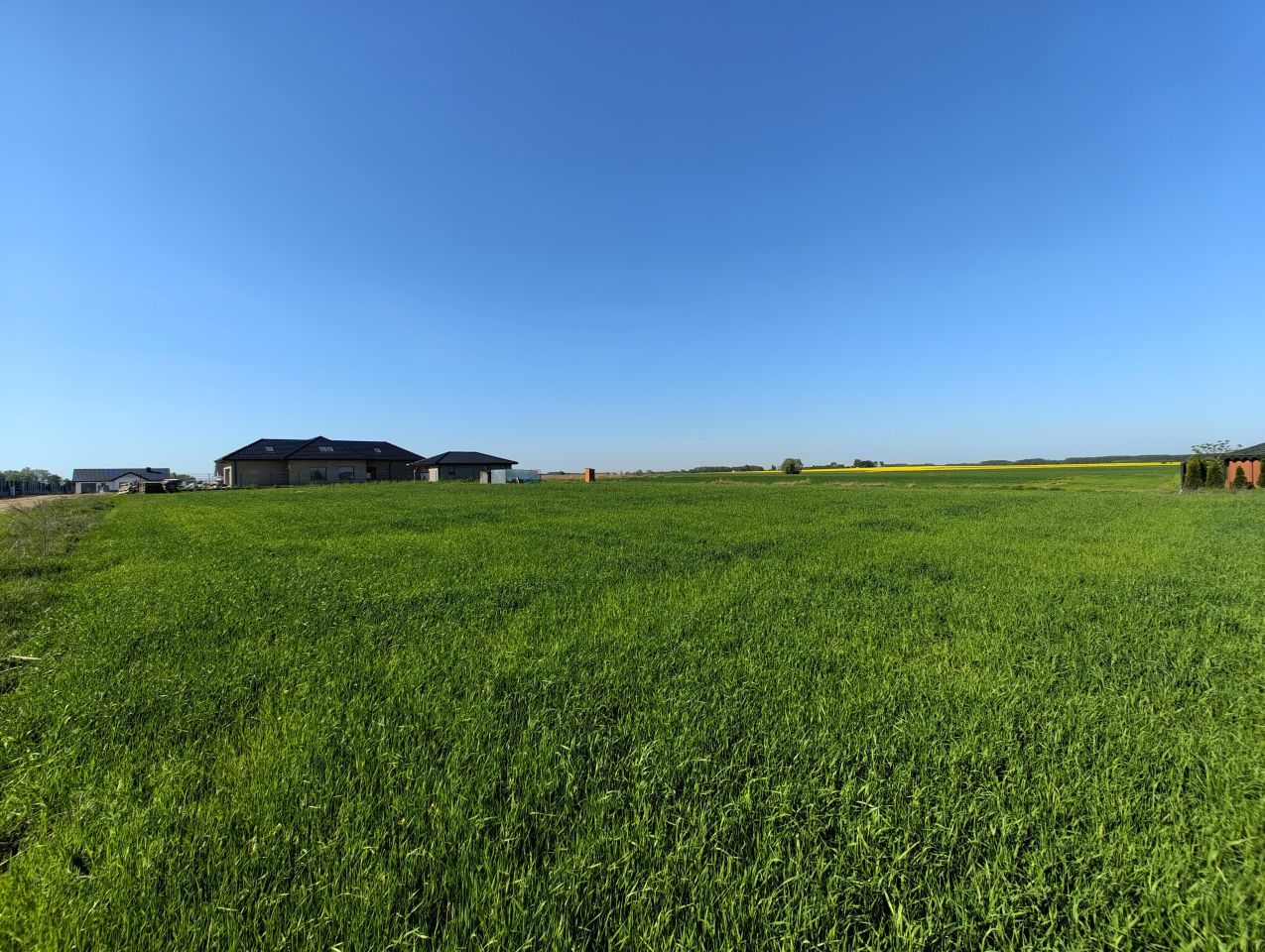 Działka siedliskowa Szerominek. Zdjęcie 7
