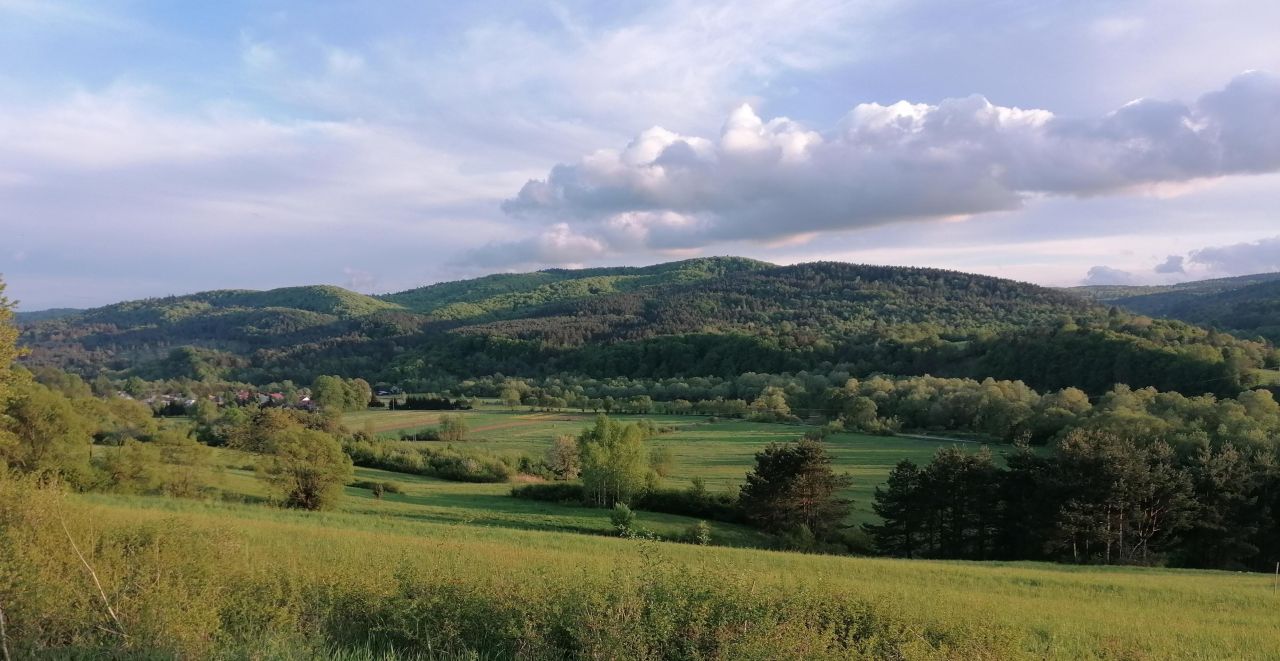 Działka rekreacyjna Rybotycze. Zdjęcie 23