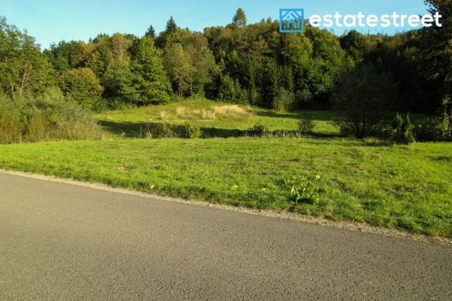 Działka rekreacyjna Drohobyczka. Zdjęcie 2