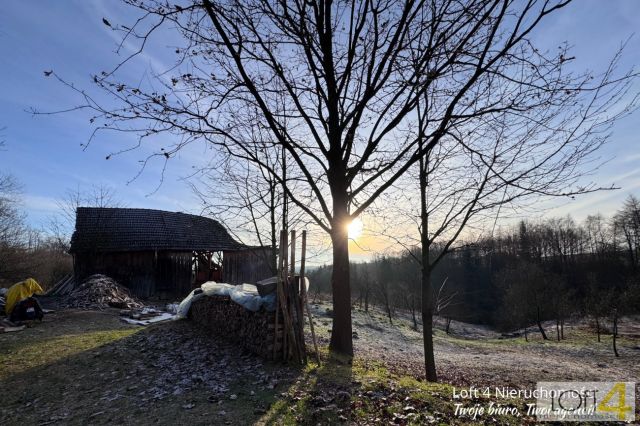 siedlisko, 3 pokoje Rzepiennik Marciszewski. Zdjęcie 13
