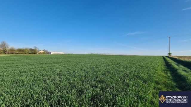 Działka budowlana Sitaniec. Zdjęcie 7