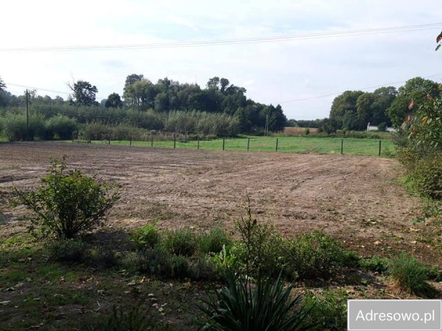 Działka rolna Brzeziczki. Zdjęcie 1