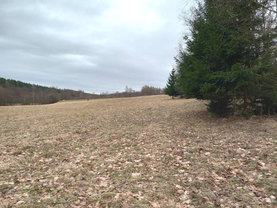 Działka budowlana Starkówek. Zdjęcie 9