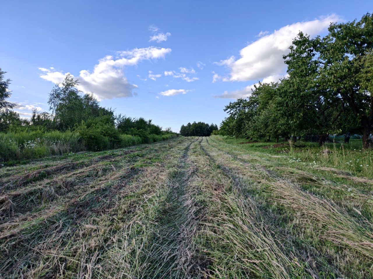 Działka rolna Kraków Mydlniki, ul. mjr. Łupaszki. Zdjęcie 3