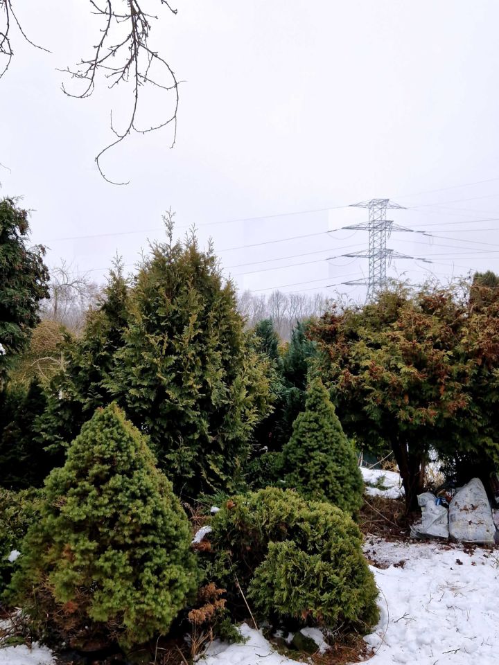 Działka rod Mysłowice, ul. 3 Maja. Zdjęcie 7