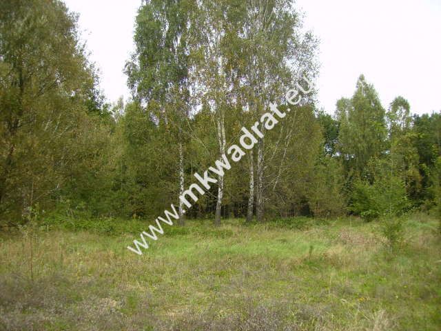 Działka budowlana Marynin. Zdjęcie 5