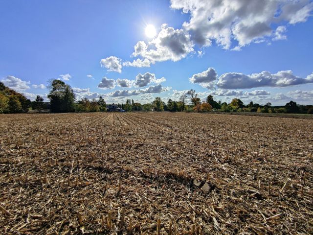 Działka rolno-budowlana Baciuty, ul. Młynowa. Zdjęcie 1