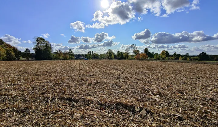 Działka rolno-budowlana Baciuty, ul. Młynowa