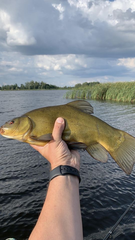 siedlisko Husynne Kątek. Zdjęcie 35