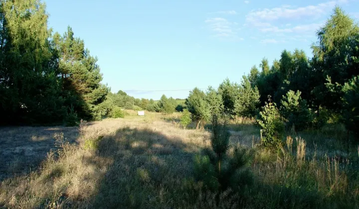 Działka budowlana Prabuty