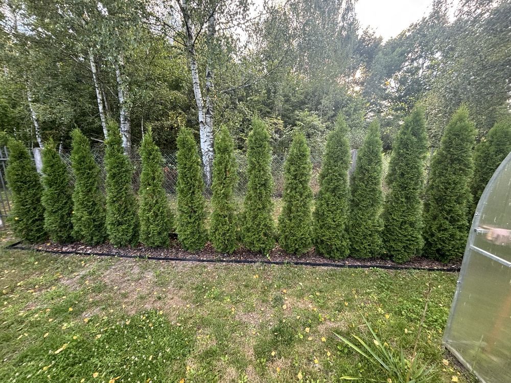 Działka rod Biała Podlaska, ul. Ceglana. Zdjęcie 3