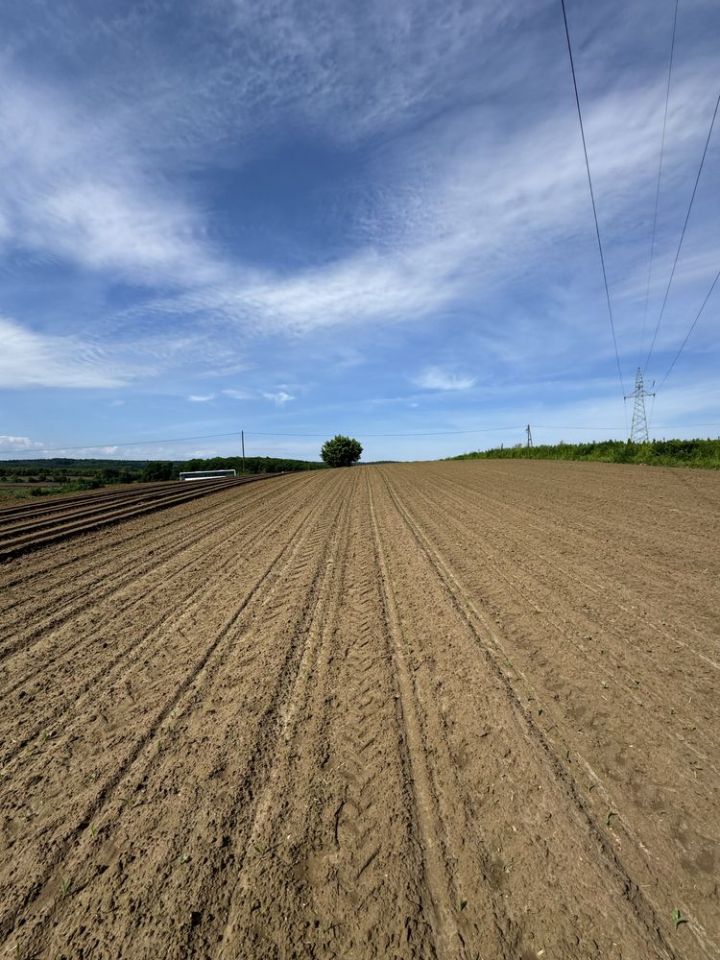 Działka rolna Żurawica Bażantarnia. Zdjęcie 3