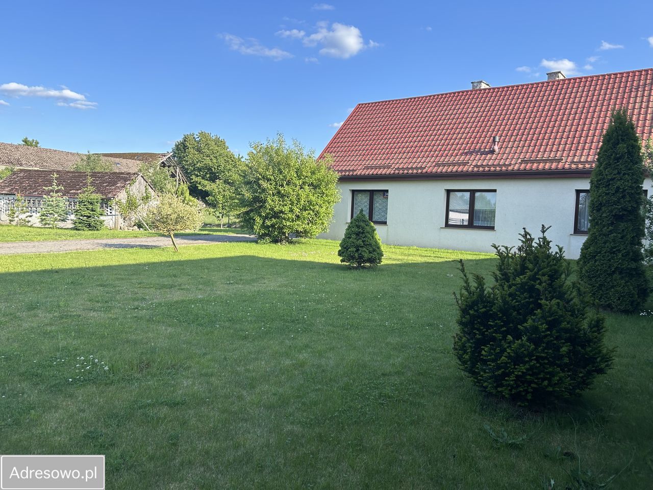 dom wolnostojący, 5 pokoi Drzewiany. Zdjęcie 2