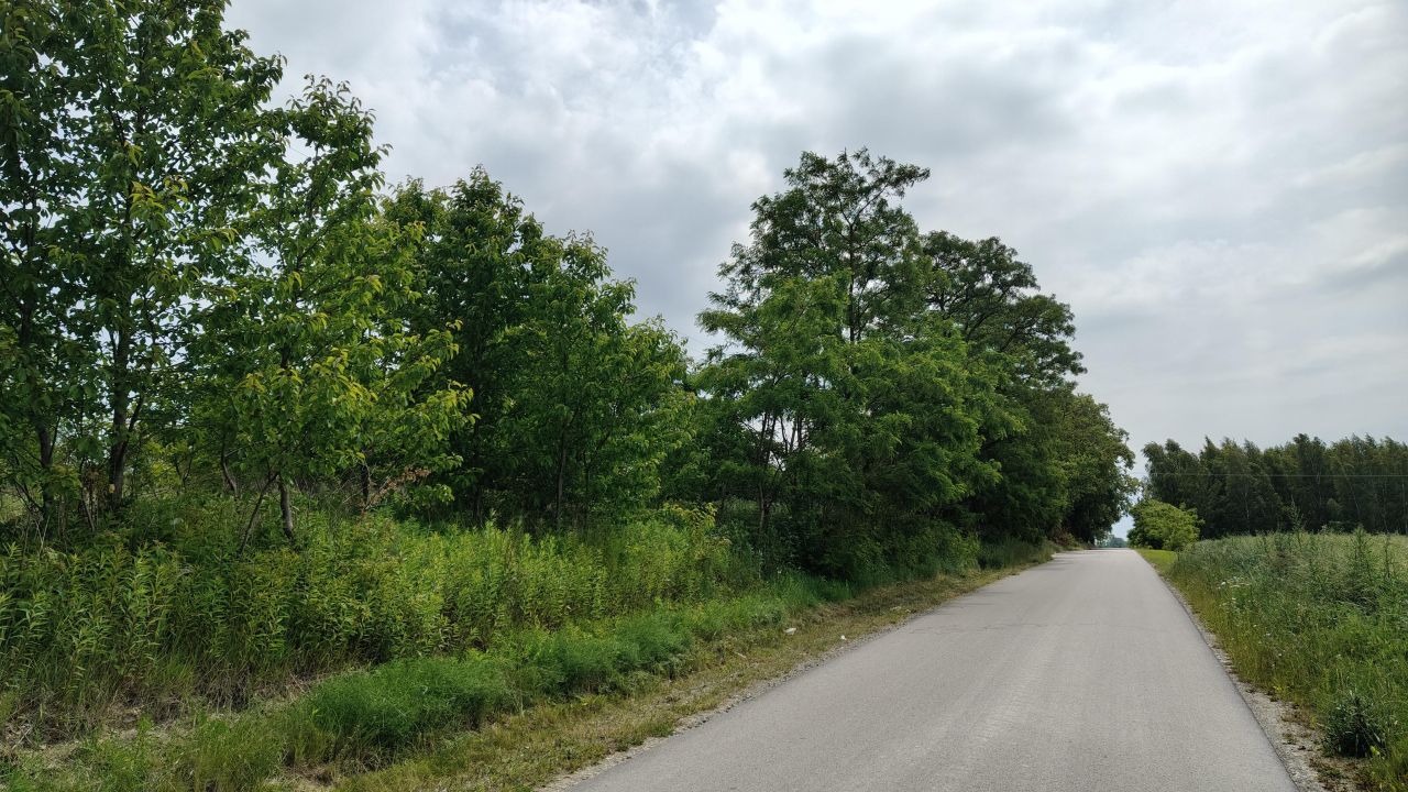 Działka budowlana Jabłonna Pierwsza. Zdjęcie 13