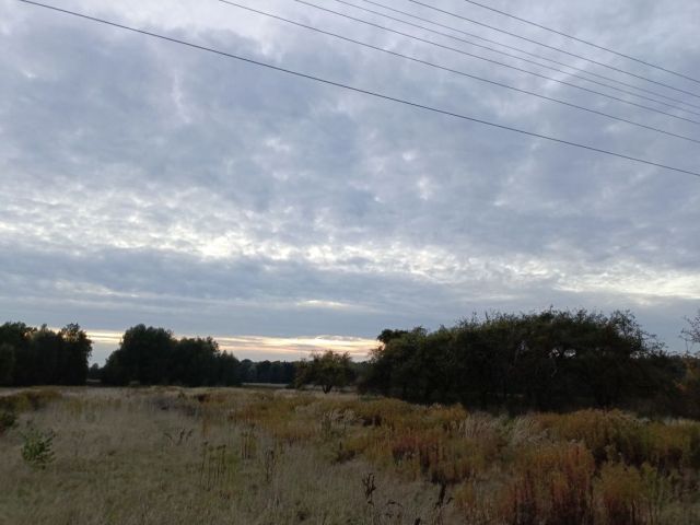 Działka rolno-budowlana Kozioł. Zdjęcie 1