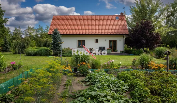 dom wolnostojący, 5 pokoi Łabiszyn