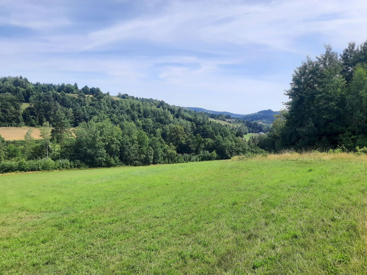 Działka rolno-budowlana Jastrzębia. Zdjęcie 5