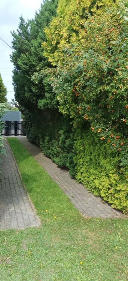 dom wolnostojący, 4 pokoje Tworóg, ul. Polna. Zdjęcie 10