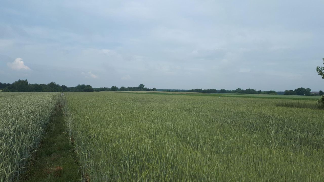 Działka rolno-budowlana Zatory, ul. Jana Pawła II. Zdjęcie 7