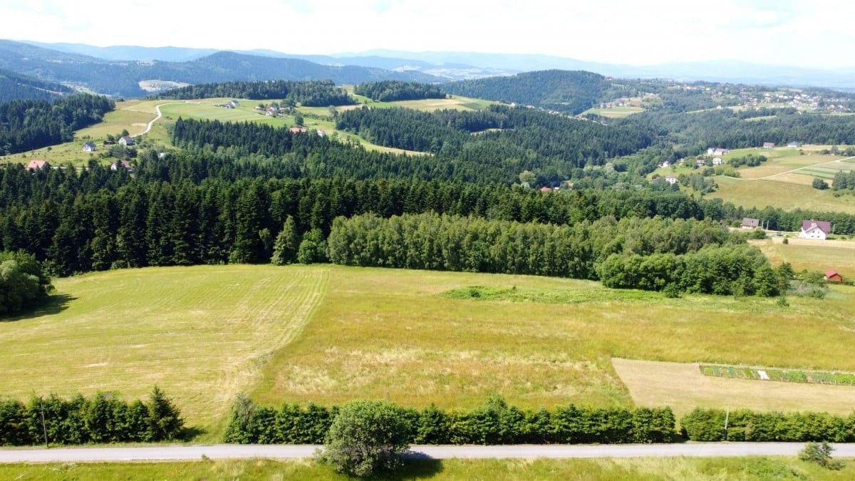 Działka inwestycyjna Mszalnica. Zdjęcie 9