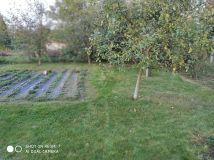 Działka rod Mława. Zdjęcie 1