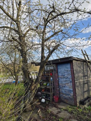 Działka rekreacyjna Wrocław Klecina, CZEKOLADOWA. Zdjęcie 1