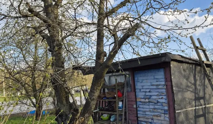 Działka rekreacyjna Wrocław Klecina, CZEKOLADOWA