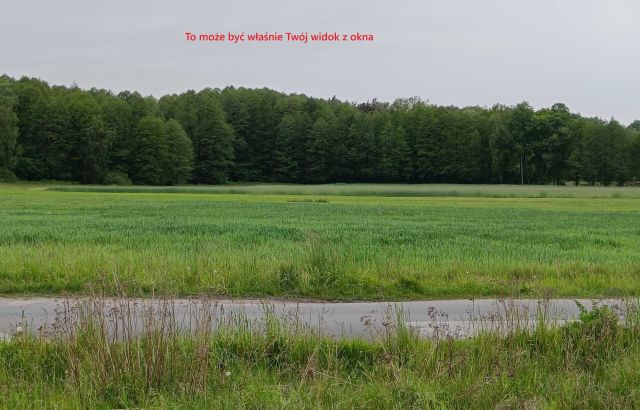 Działka budowlana Poleszyn. Zdjęcie 1