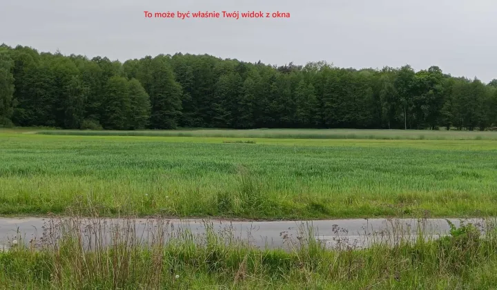 Działka budowlana Poleszyn