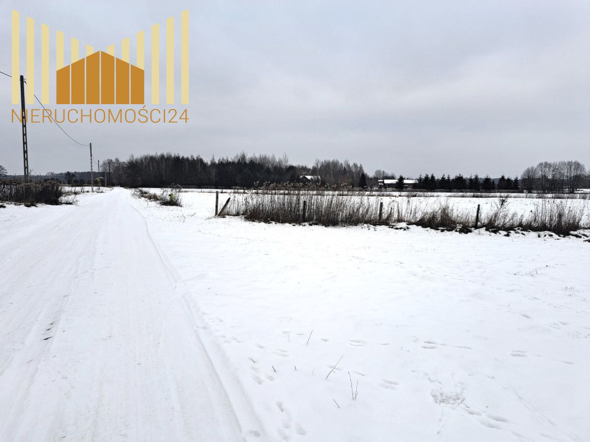 Działka siedliskowa Siennica. Zdjęcie 2