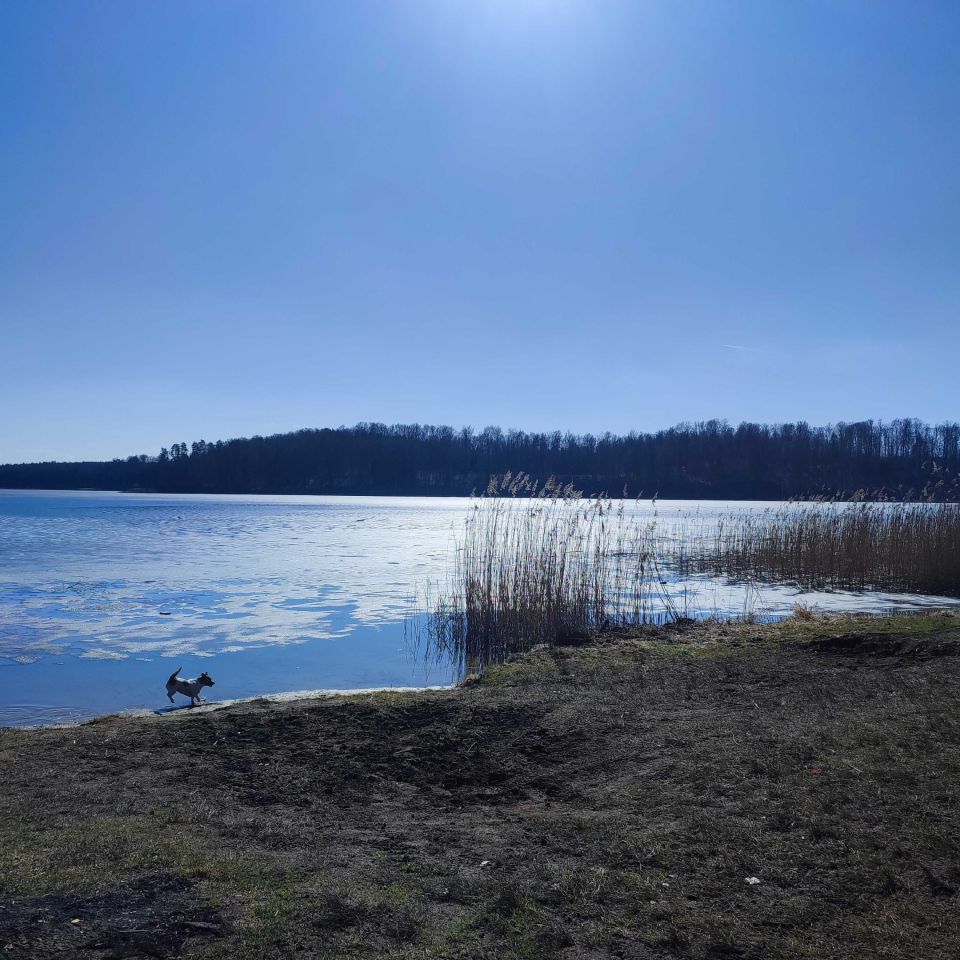 Działka rekreacyjna Glebiska. Zdjęcie 2