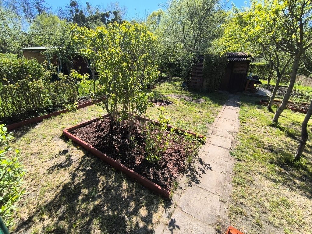 Działka rod Wrocław Księże Małe. Zdjęcie 7