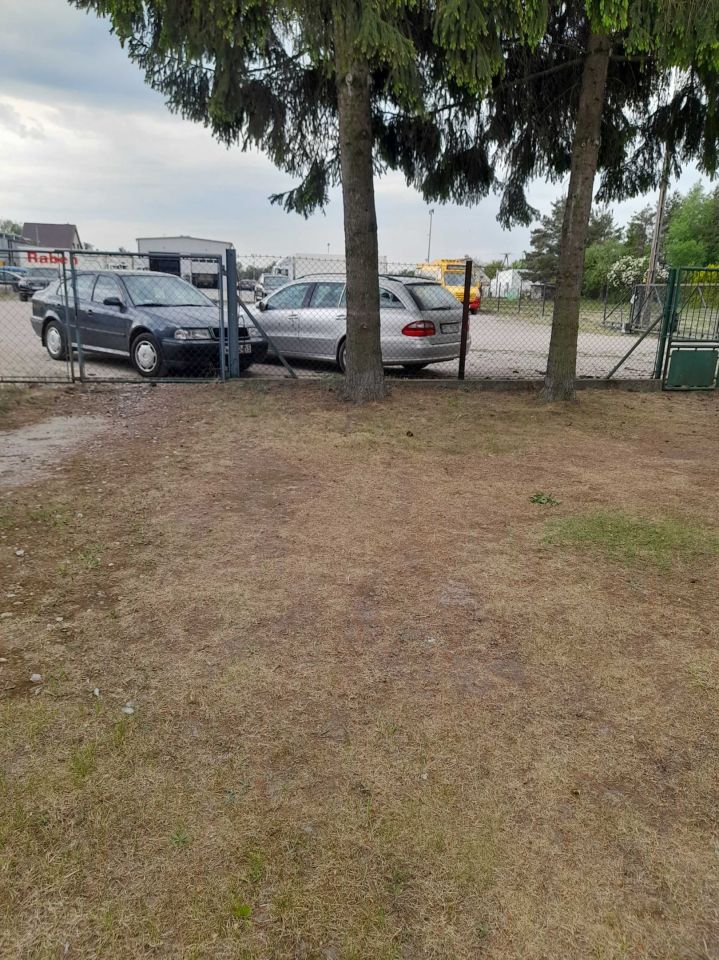 siedlisko Chrzanów Duży. Zdjęcie 7