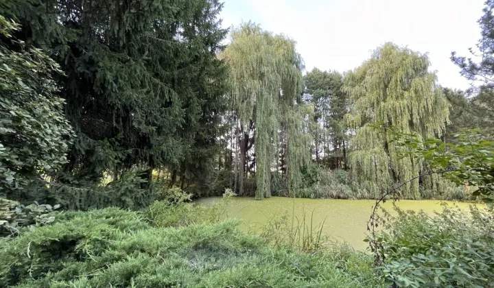 Działka budowlana Dłużew