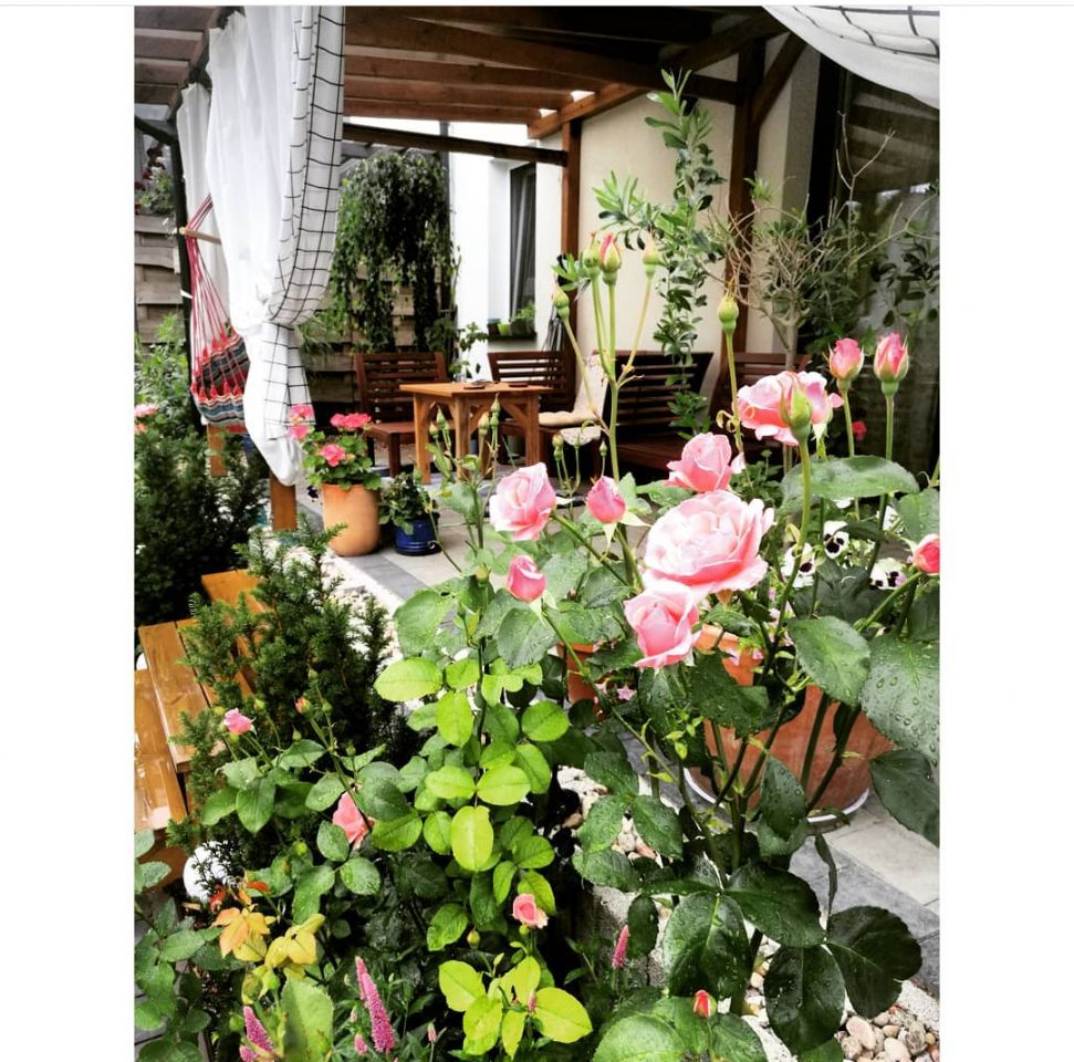 Mieszkanie 4-pokojowe Lublin Sławin, ul. gen. Bolesława Ducha