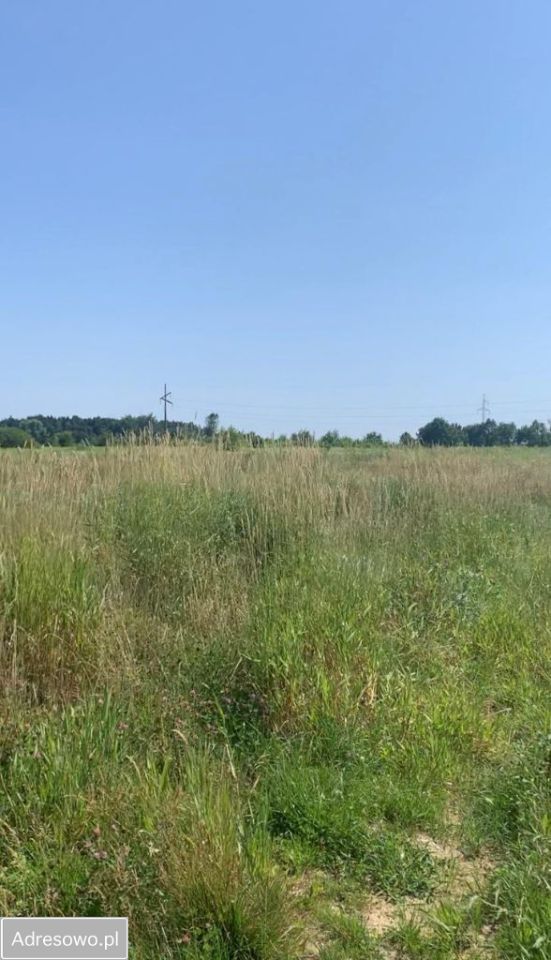 Działka budowlana Konstancin-Jeziorna. Zdjęcie 9