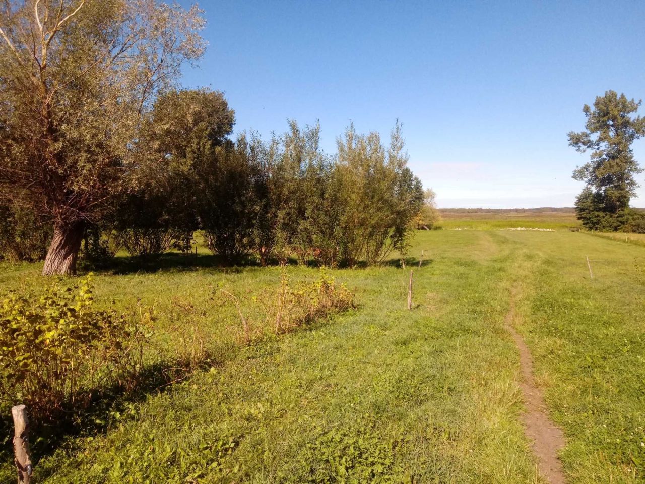 siedlisko Dolistowo Stare. Zdjęcie 2