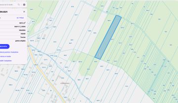 Działka leśna Dąbrowica Duża Dubrowskie