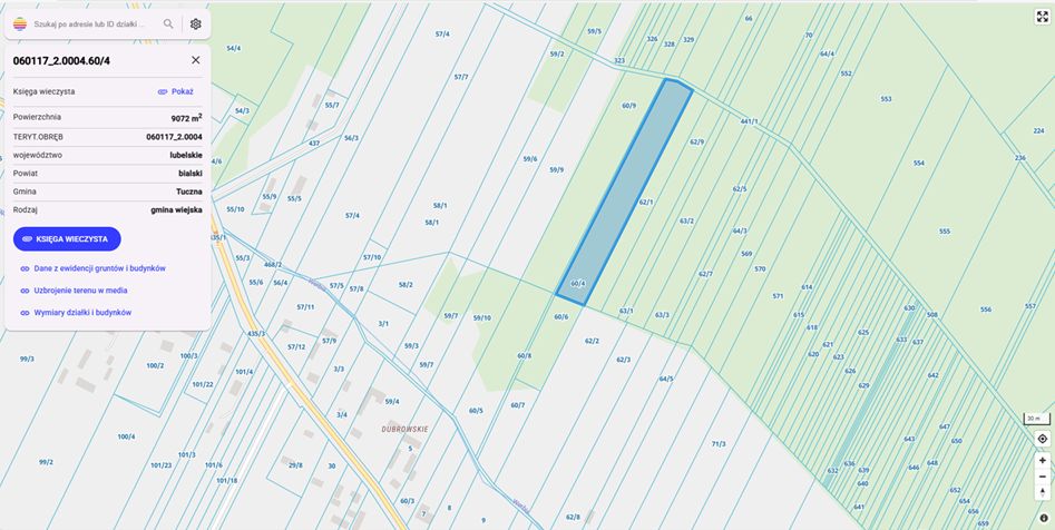 Działka leśna Dąbrowica Duża Dubrowskie. Zdjęcie 2
