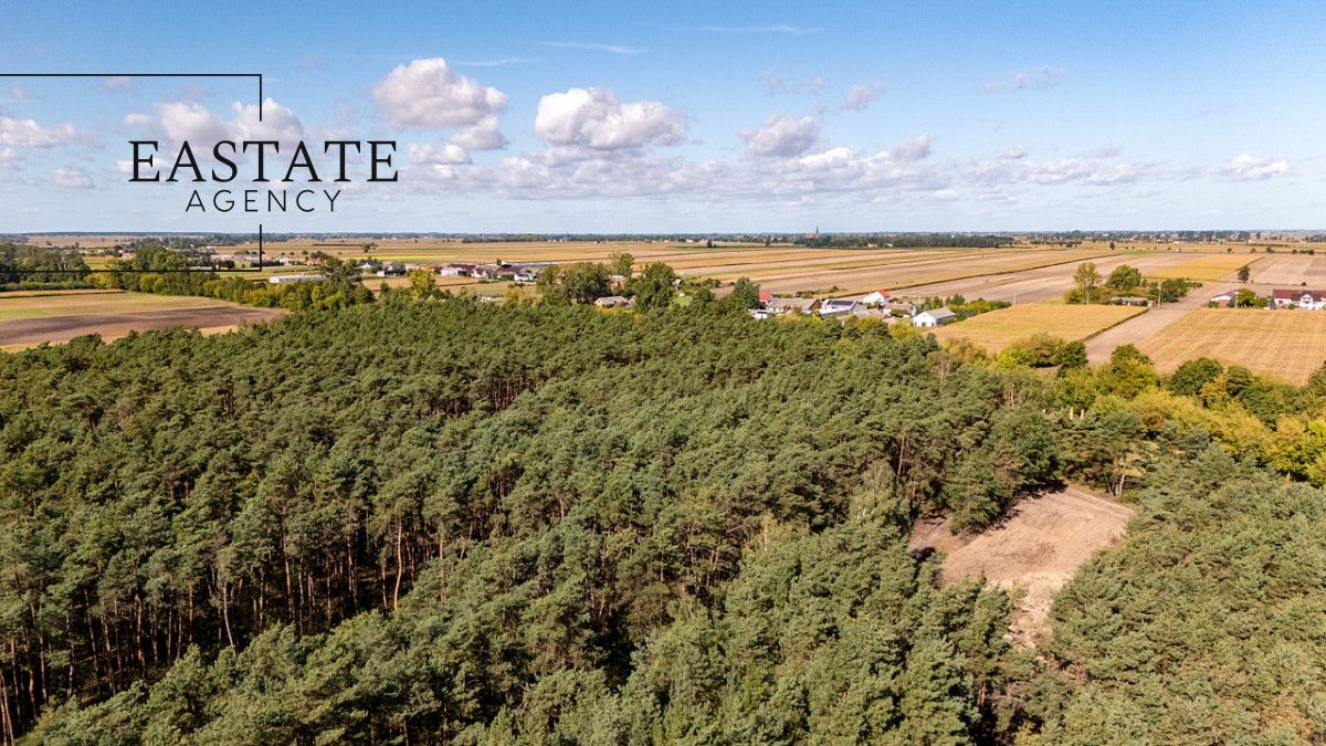 Działka leśna Maurzyce. Zdjęcie 4