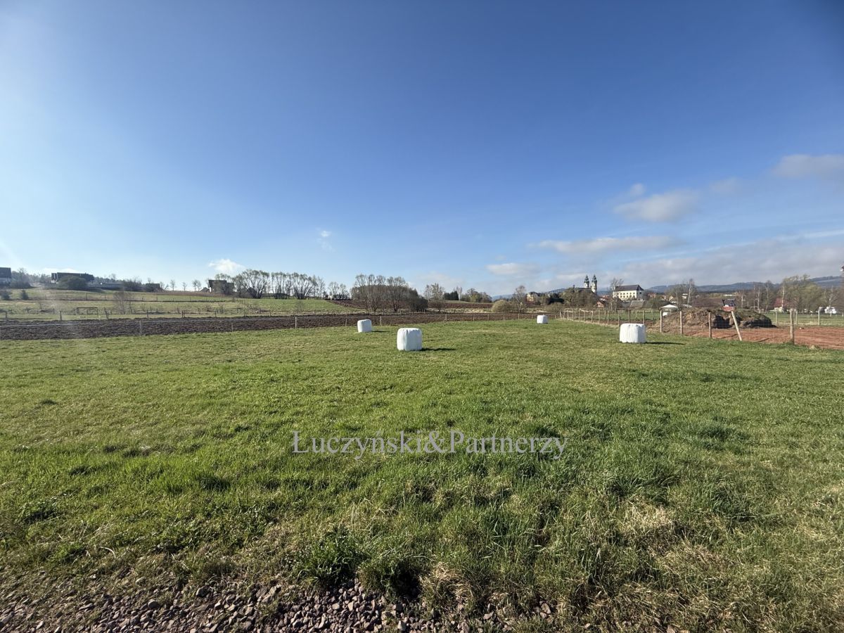 Działka inwestycyjna Krzeszów. Zdjęcie 5
