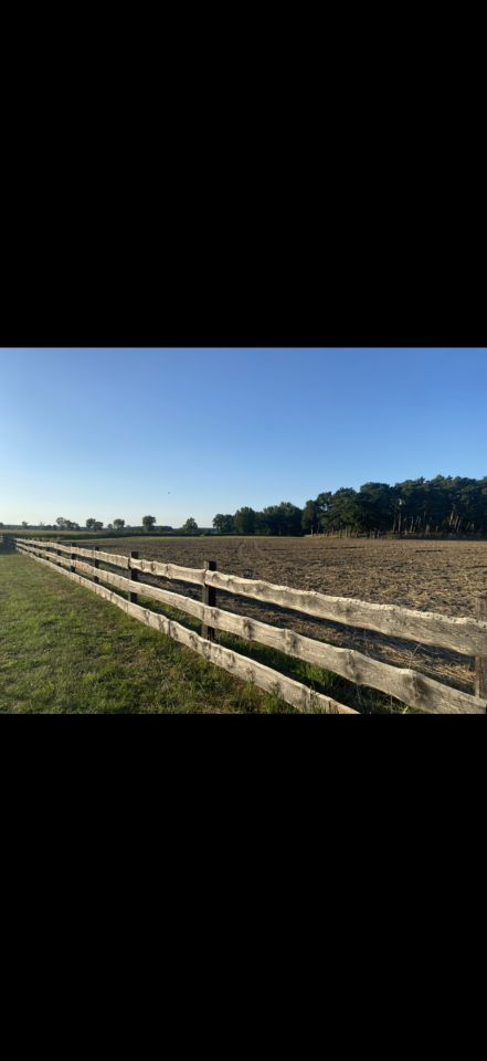 Działka budowlana Tarchalin, Wewnętrzna. Zdjęcie 4