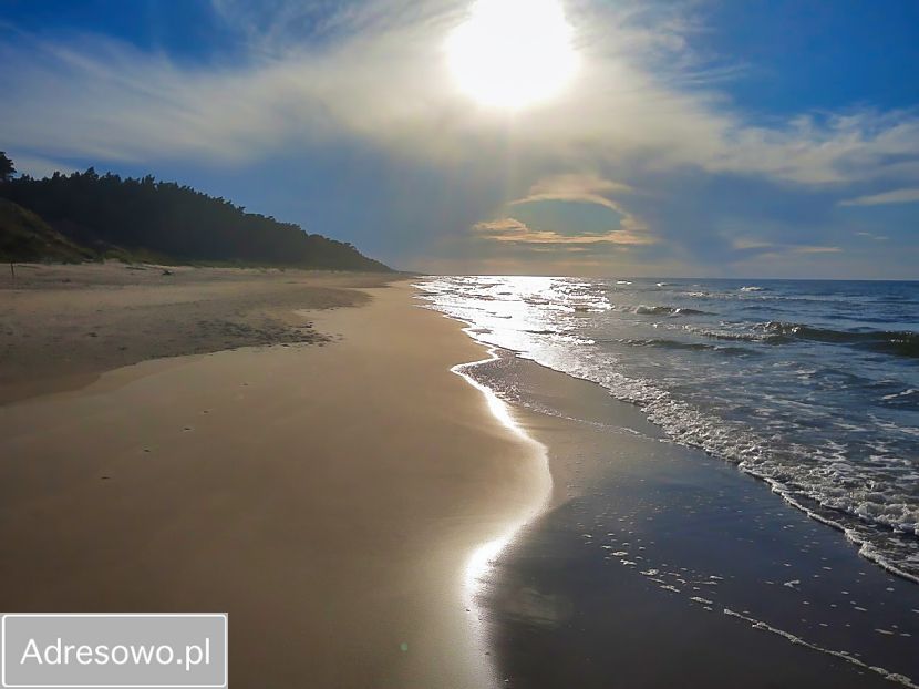 Działka rolna Dębki. Zdjęcie 2