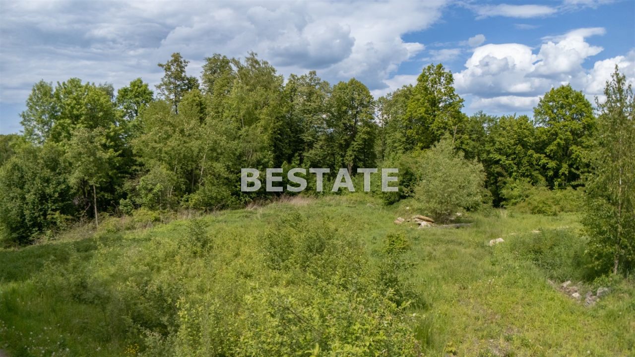 Działka leśna Szynwałd