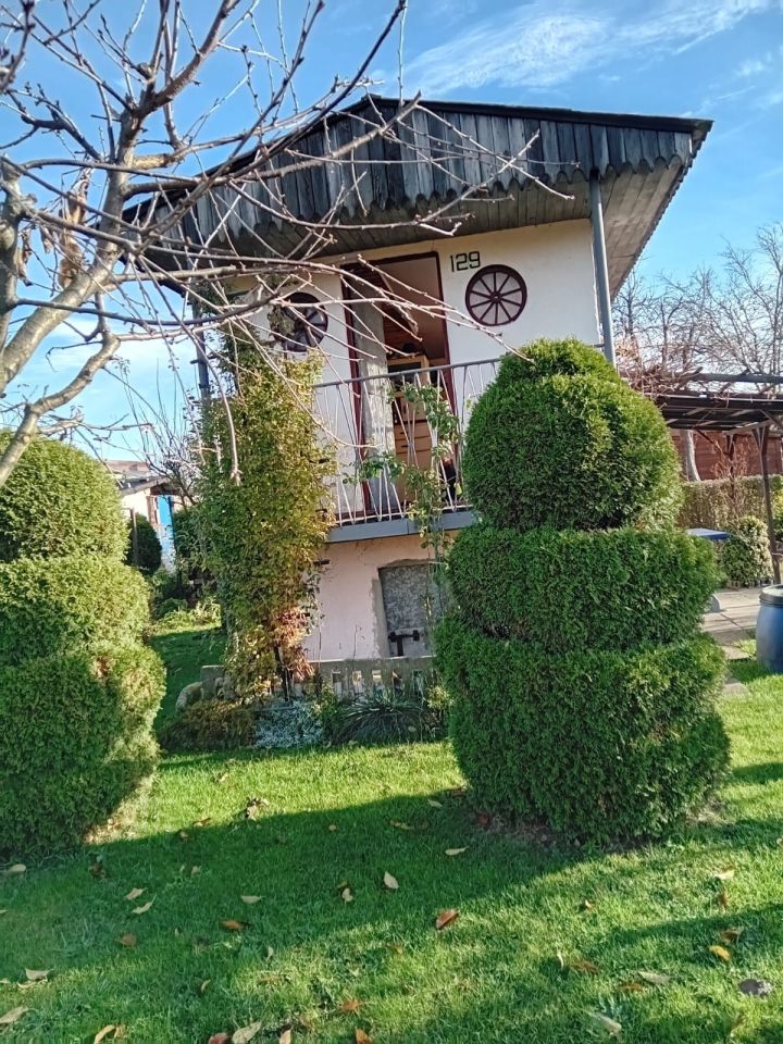 Działka rod Czerwieńsk. Zdjęcie 4